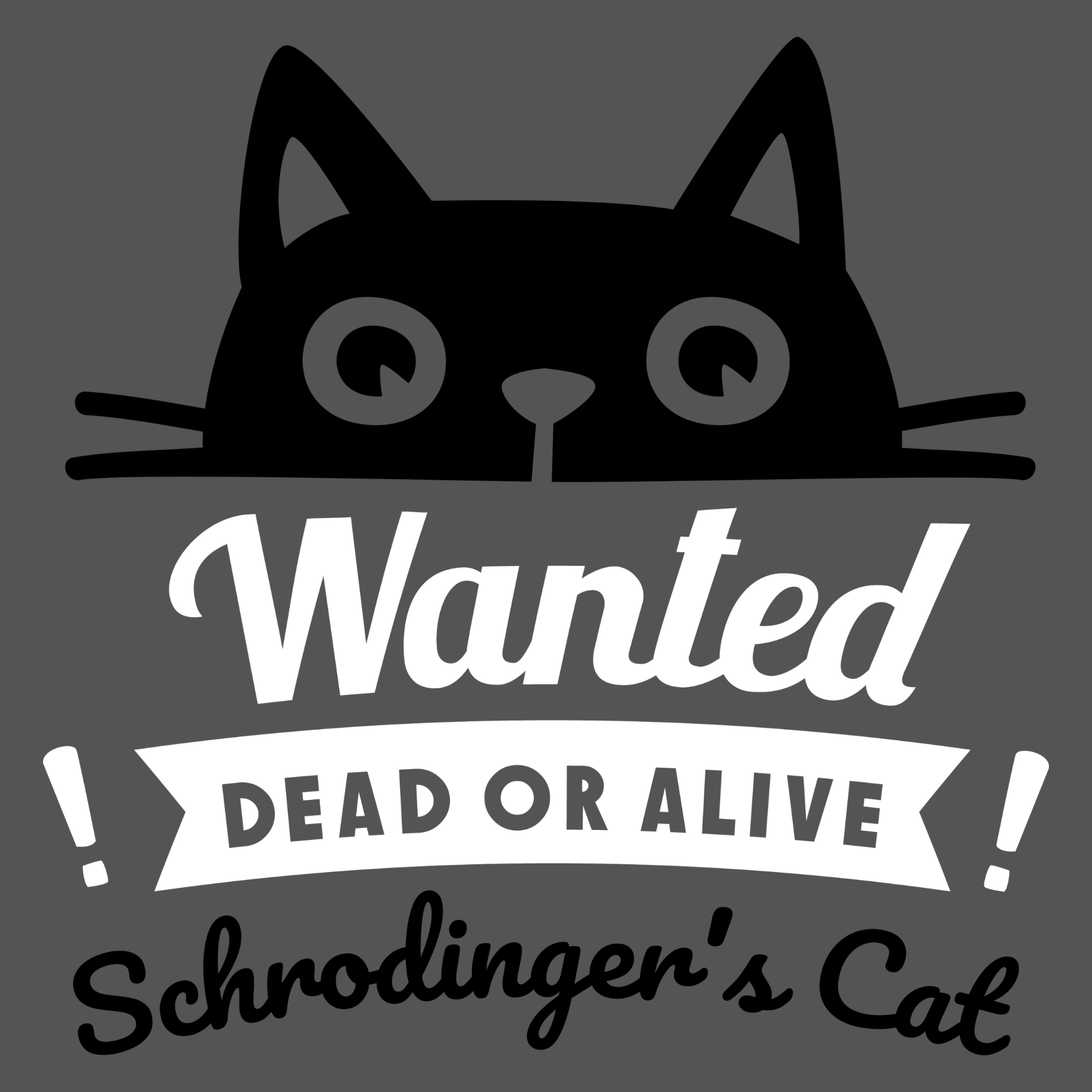 Schrodingers Cat 1