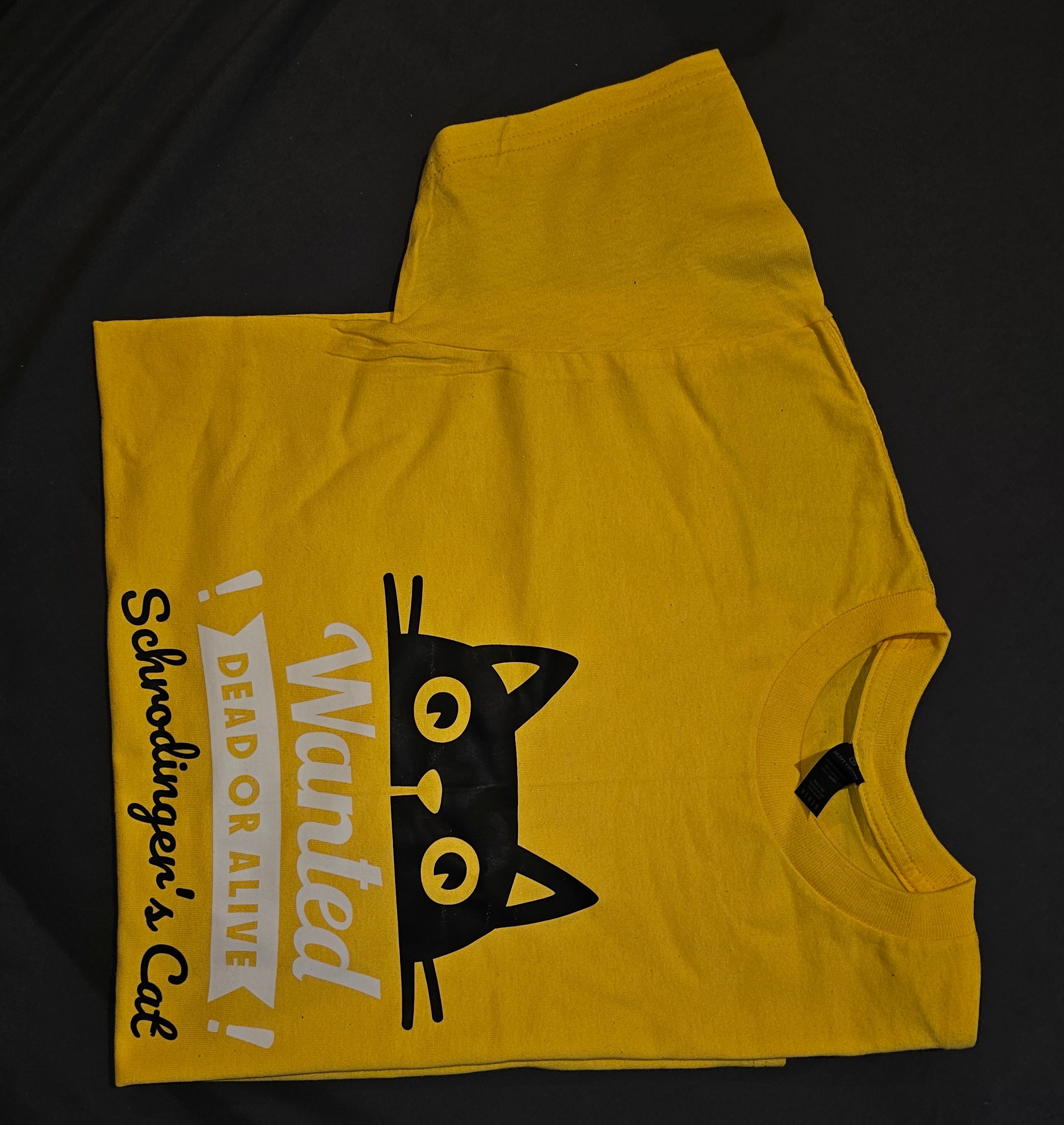 Schrodingers Cat 1